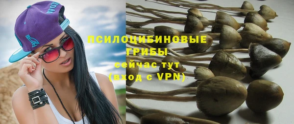 ГАЛЛЮЦИНОГЕННЫЕ ГРИБЫ Алексеевка