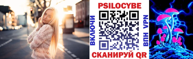 Псилоцибиновые грибы Psilocybe  Грязовец 